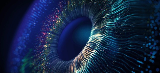 Our Vision